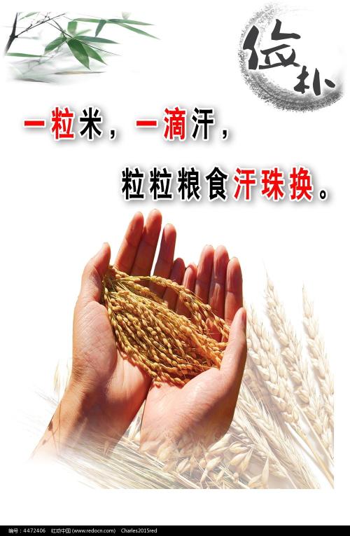 国立电子科技大学学历学位认证